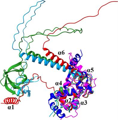 The FinO/ProQ-like protein PA2582 impacts antimicrobial resistance in Pseudomonas aeruginosa